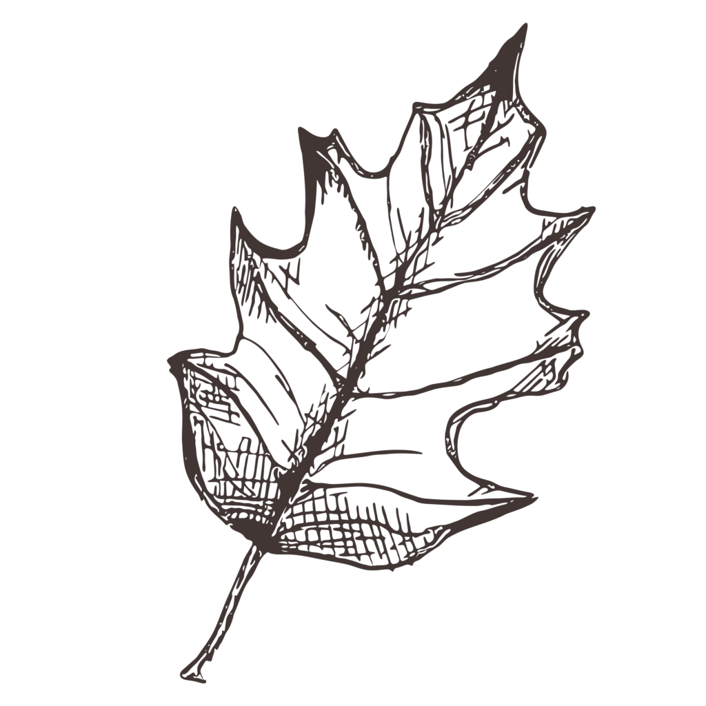 leaf icon