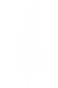Growth